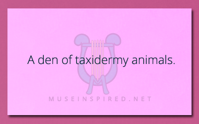 Taxidermy Animals